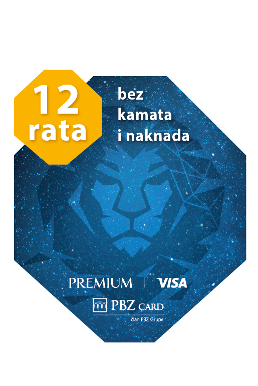 VISA logo